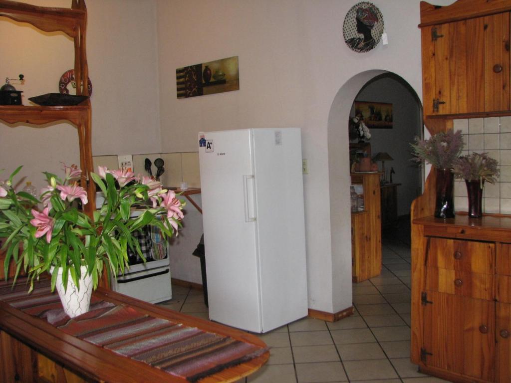 Jembjo'S Knysna Lodge & Backpackers Zewnętrze zdjęcie